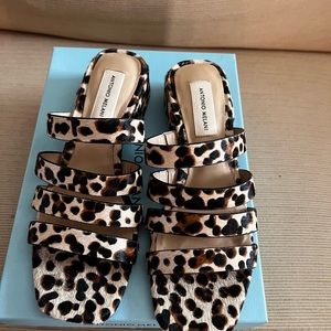 Antonio Melani cheetah sandal 8 1/2